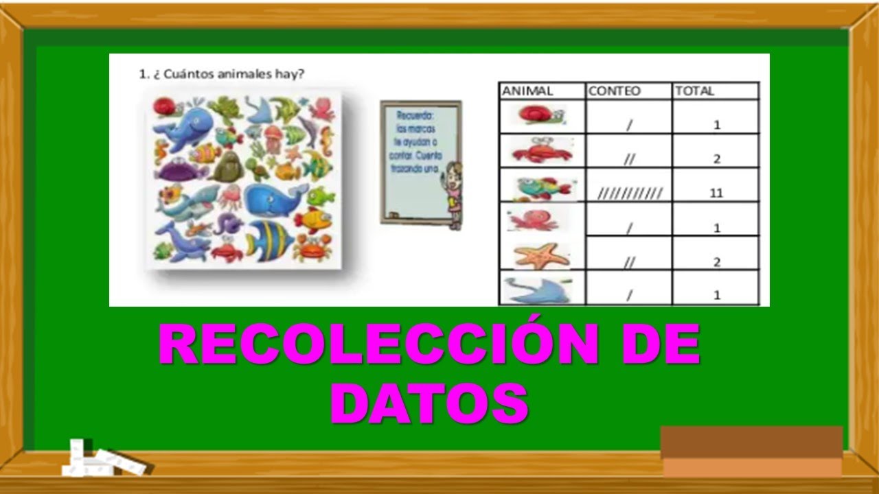 🌟 RECOLECCIÓN DE DATOS 🌟 EXPLICACIÓN PARA NIÑOS