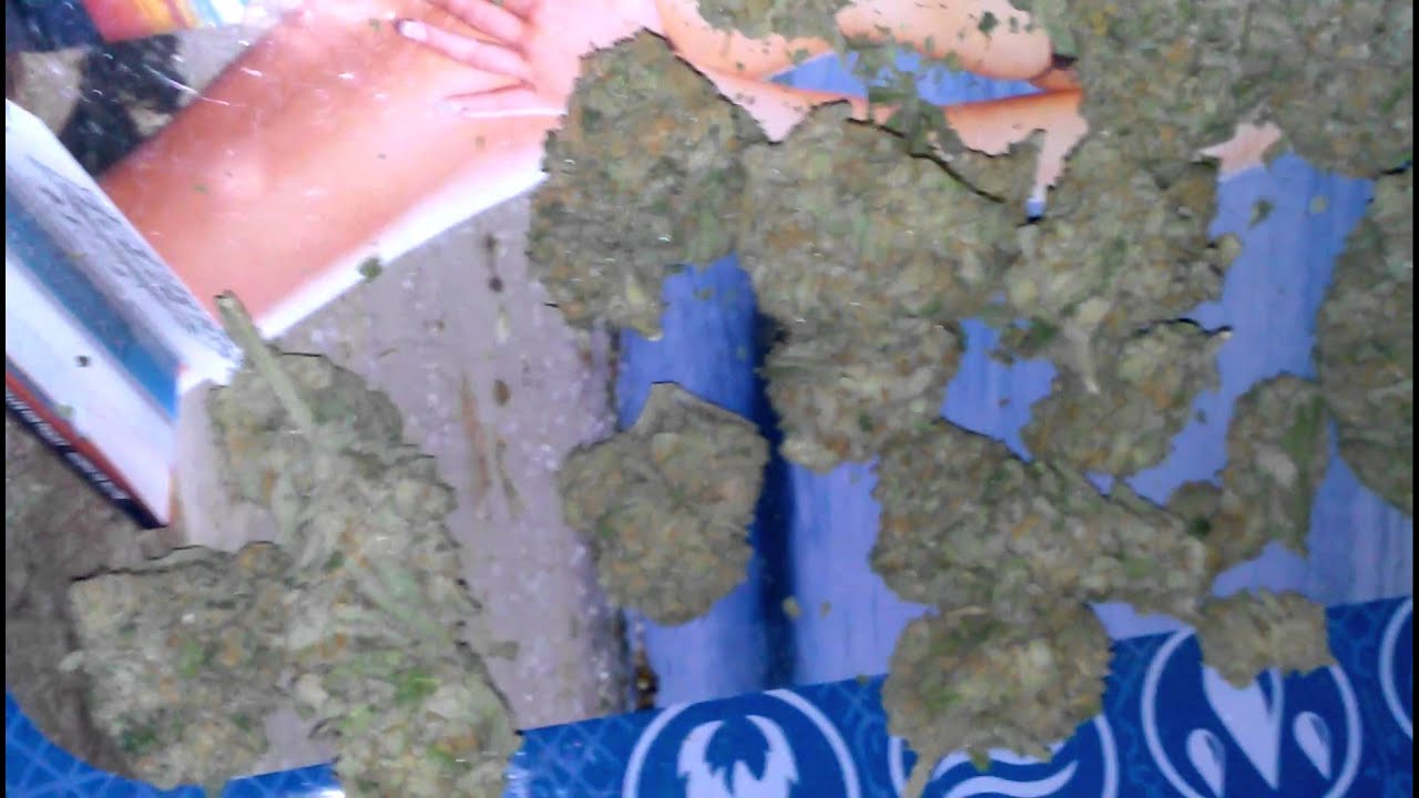 Blueberry Kush- HD Weed