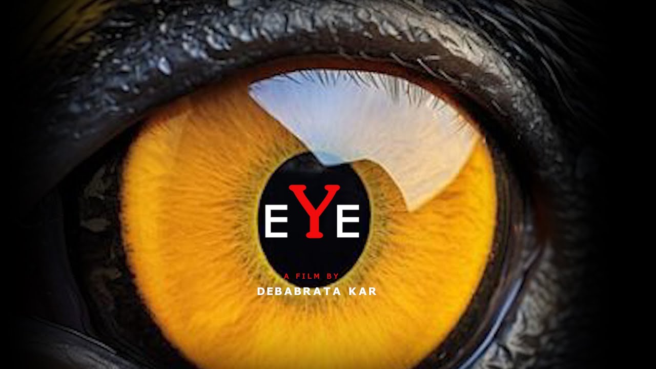EYE | Animated Short Film | 2D Short Film