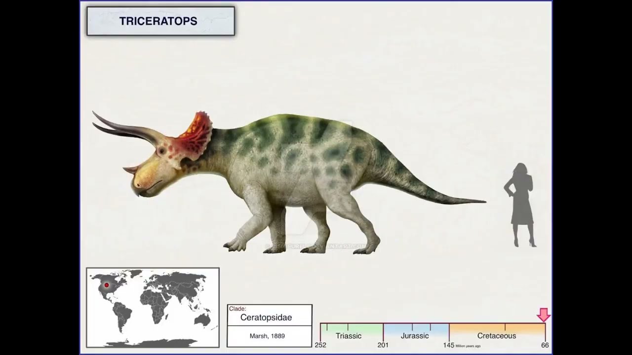 Hell Creek Formation Creatures
