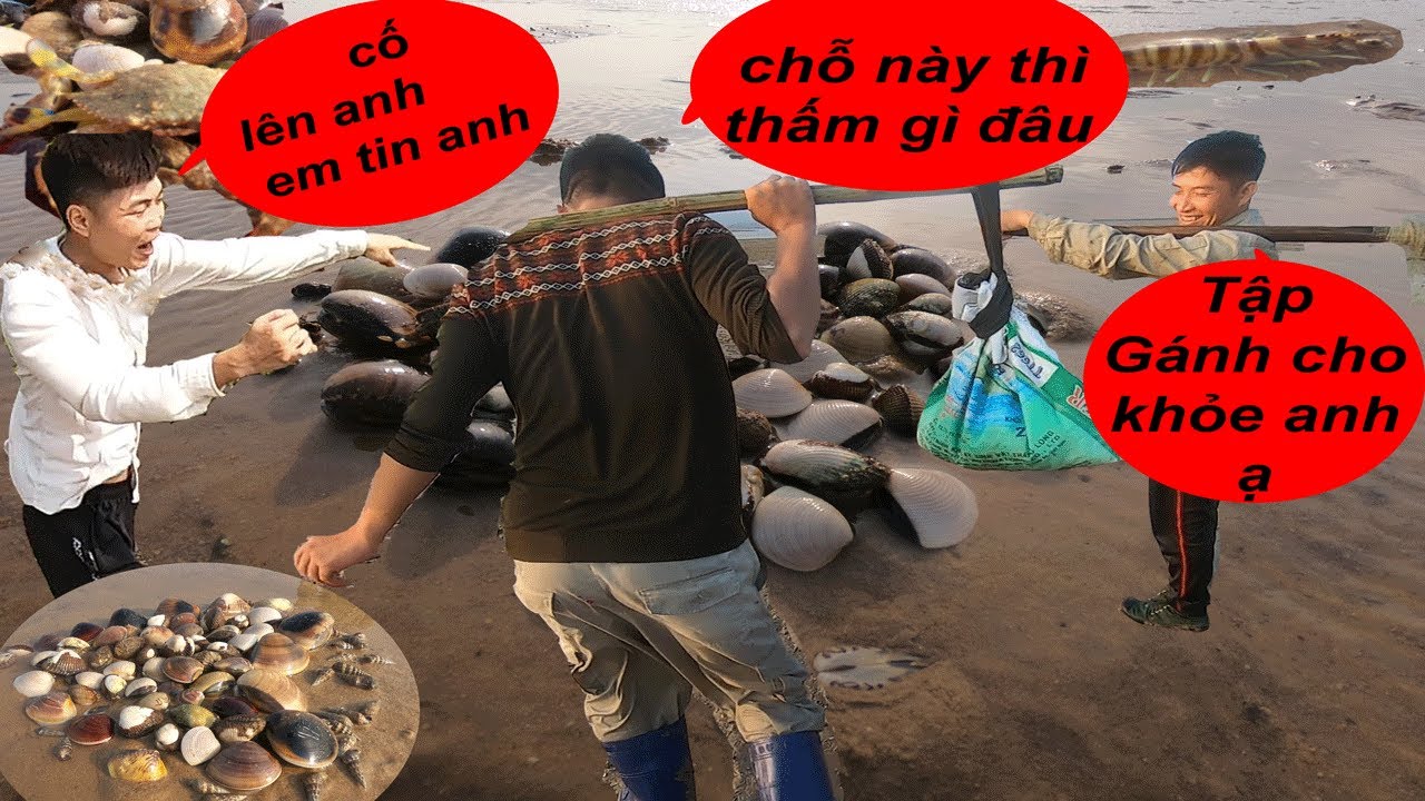 Zai Phạm Vlogs | Trải Nghiệm Đi Biển - Bắt Ngao Lụa - Sò Huyết | Về Hấp Và Cái Kết Đầy Bất Ngờ