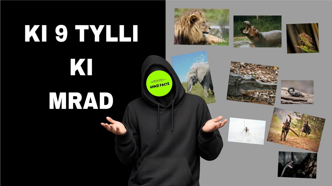 Katno ngut ki briew, kine ki mrad ki pyniap ha ka SHISNEM 😮 