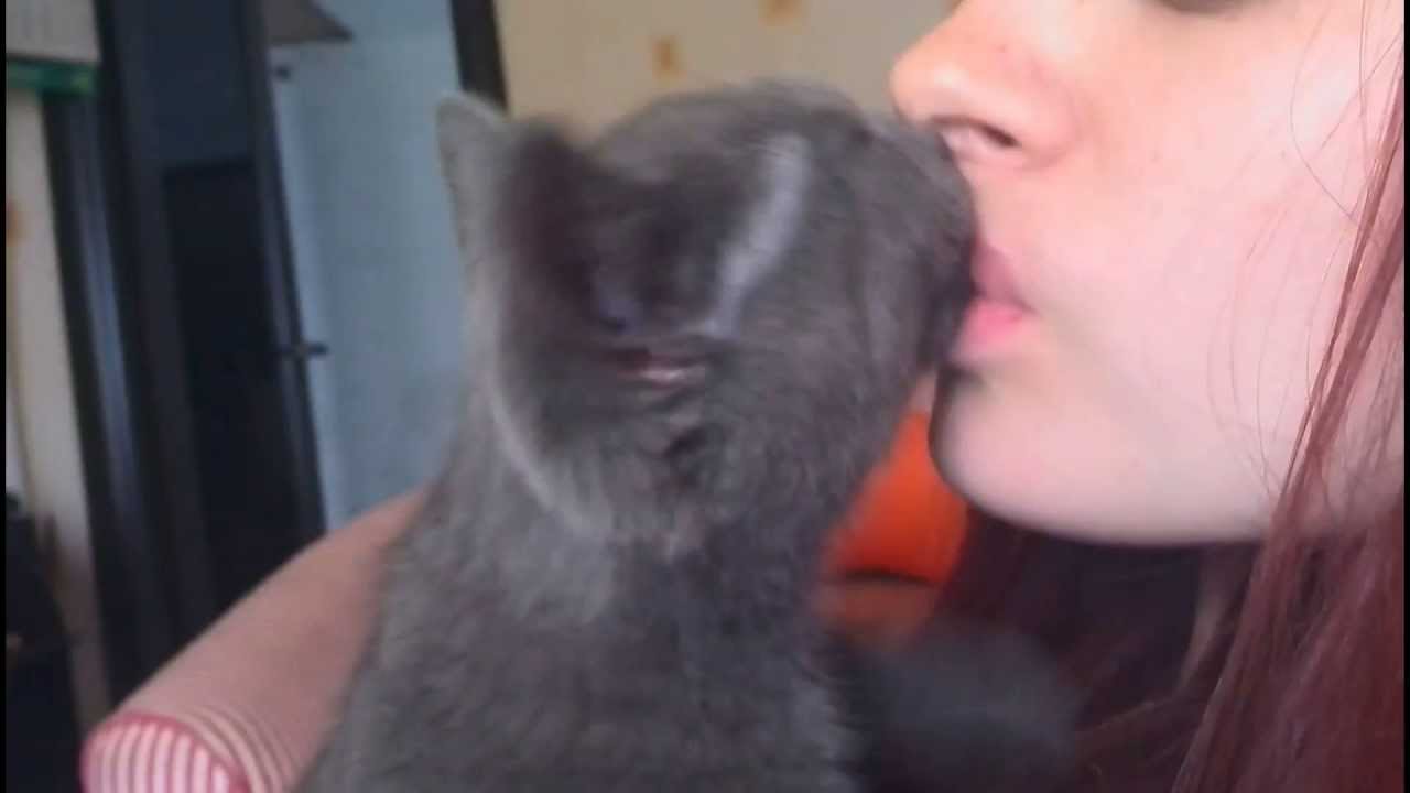 Очень ласковый котёнок целуется - доброе утро [Good morning with affectionate kitten]