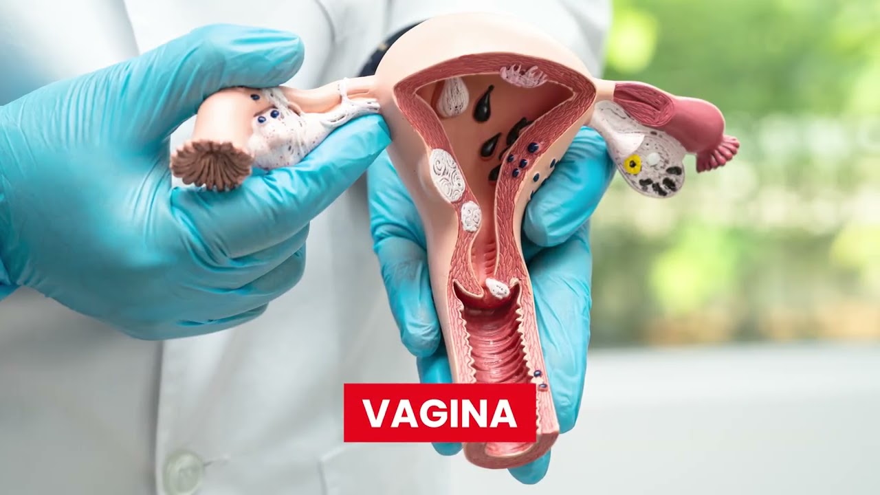 Best Fertility Treatment in Siliguri | IVF, IUI & ICSI by Dr. Priyankur Roy