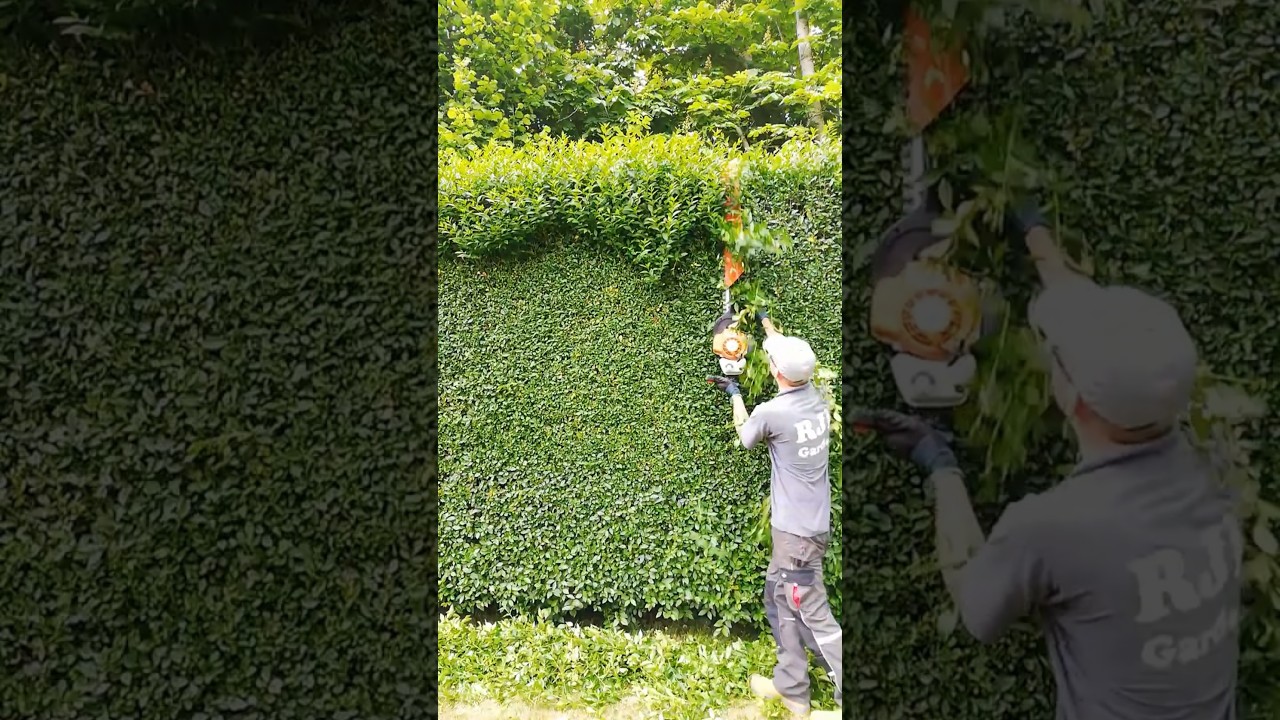 STIHL HS 87 T Hedge Trimmer #shorts
