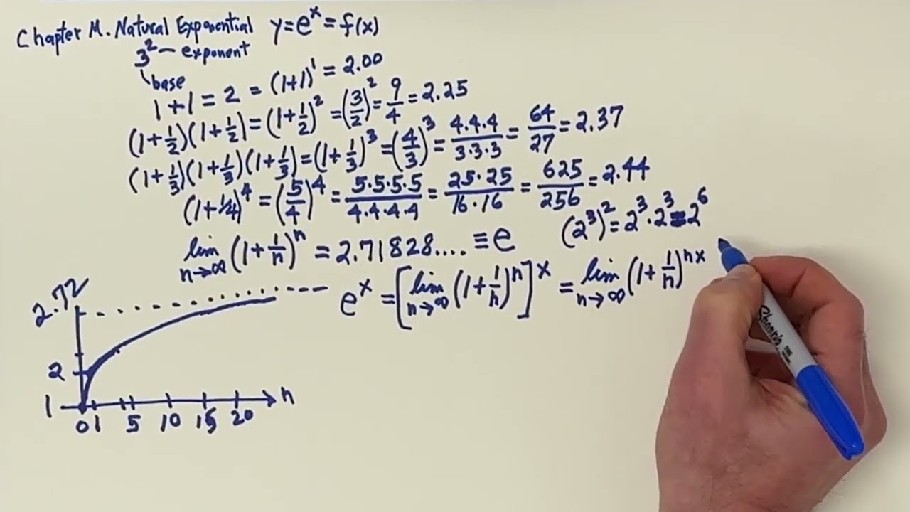 M. Derivative of the Exponential Function y = exp(x)