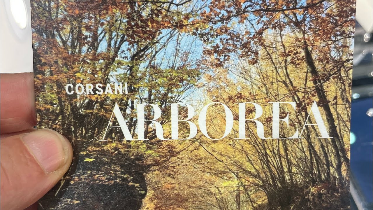 Corsani Arborea collection by Leonardo, a more detailed review.