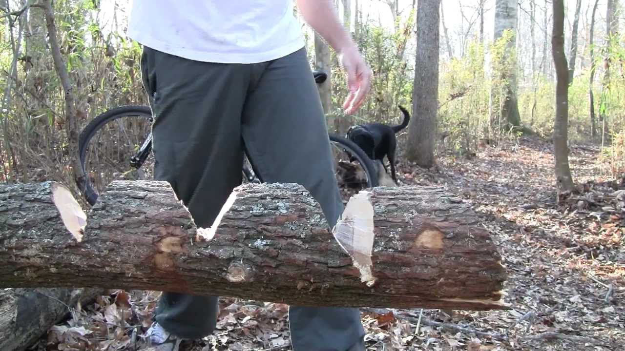 Consecutive chopping - Busse NMFBMLE, NMFBM  (video 2)