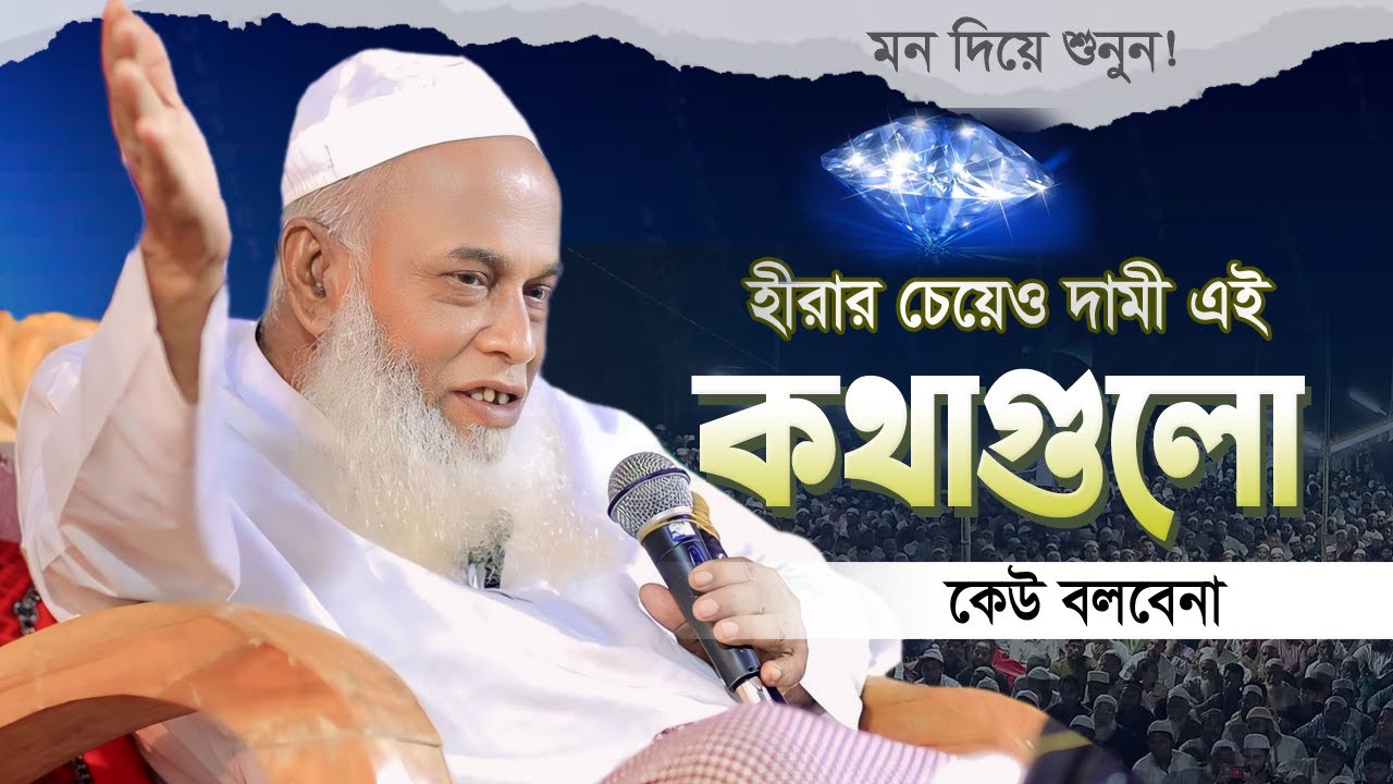 এই হুজুরের প্রতিটি কথা অনেক দামী | এই রকম করে আর কেউ বলবেনা | Allama Nurul Haque Saheb 2024