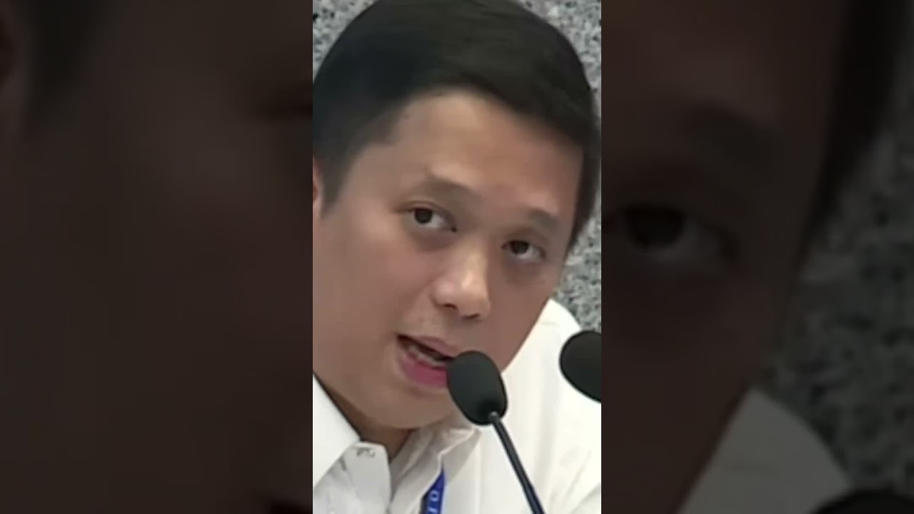 Mark Vinluan on Melvin Matibag's possible selective investigation #saraimpeachment #saraduterte