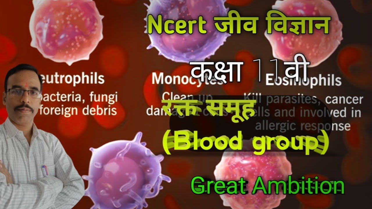 रक्त समूह (Blood group) जीव विज्ञान कक्षा 11वी 🔥💯Great Ambition 🌹🔥