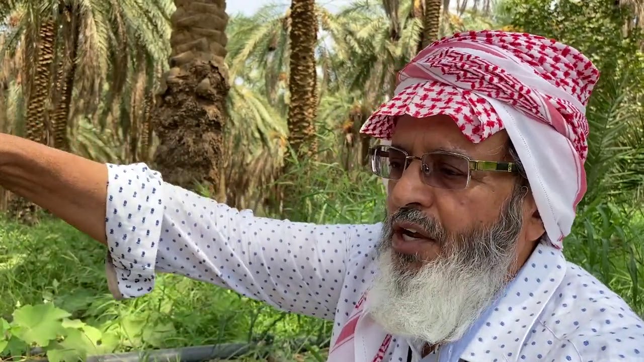 النفط في السعودية هل يهاجر لبلدان أخرى معلومات قد تسمعها لأول مرة..