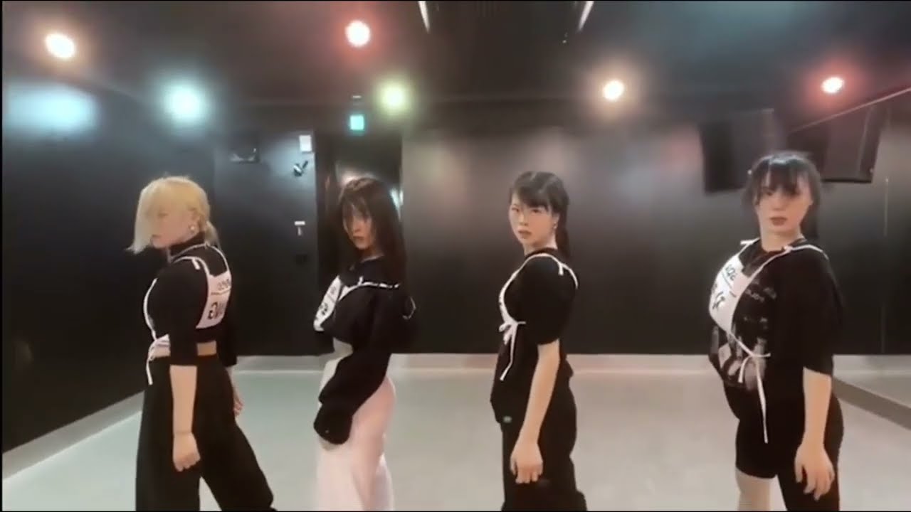 (MIRRORED) AESPA -  INTRO + Black Mamba [2 members]