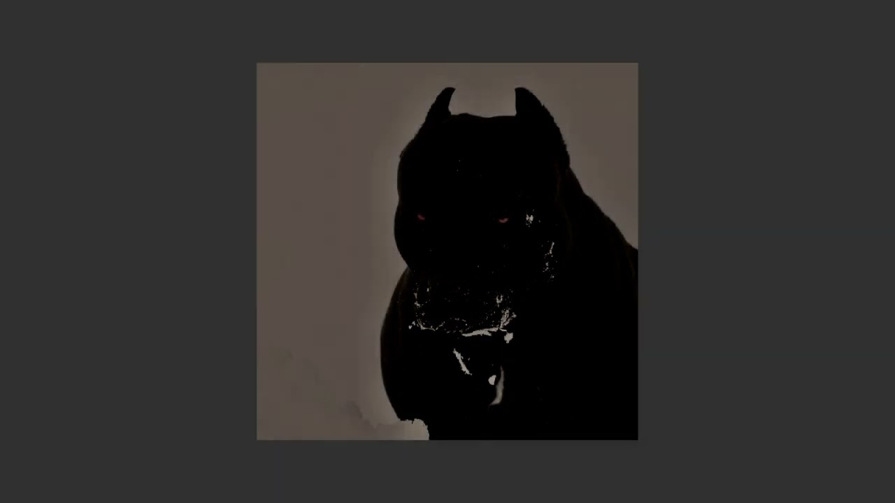 die antwoord - pitbull terrier SLOWED AND REVERB