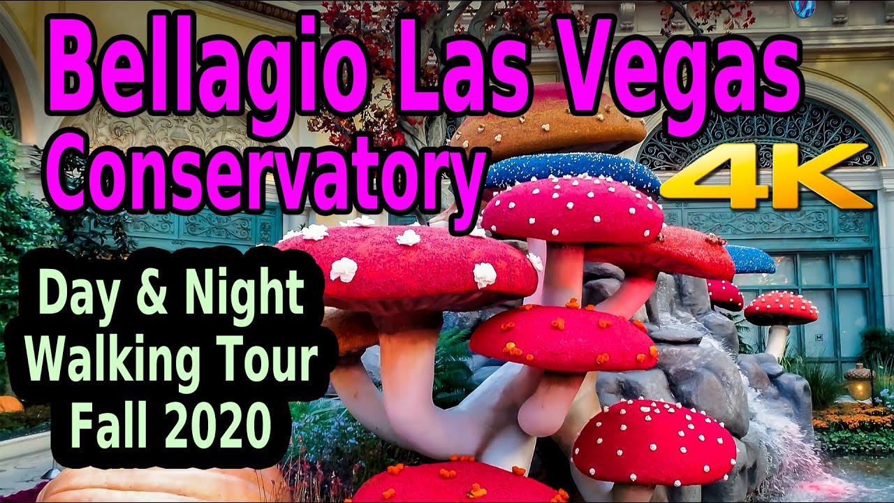 BELLAGIO CONSERVATORY FALL 2020 DAY & NIGHT WALKING TOUR LAS VEGAS STRIP 4K