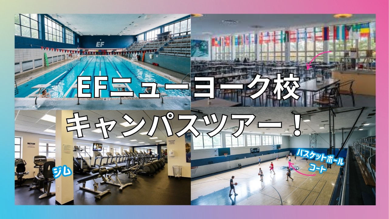 【EFニューヨーク校ツアー】プール・ジム・バスケコートを徹底紹介！