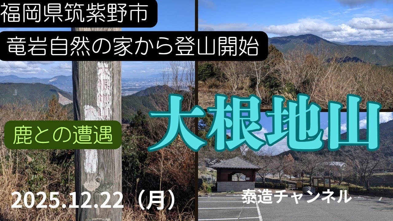 大根地山　2025.12.22（月曜日）