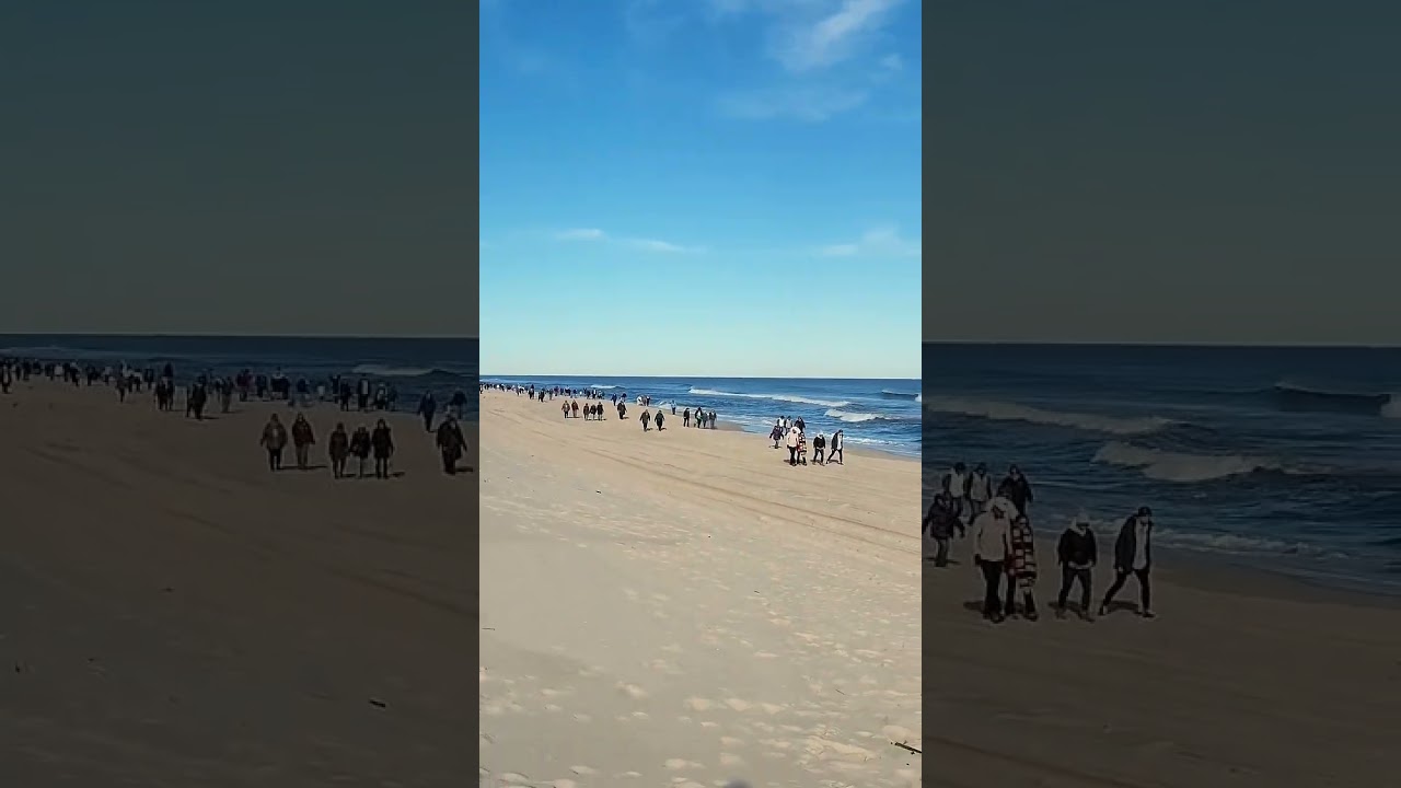 Jersey Shore - Winter Walkers