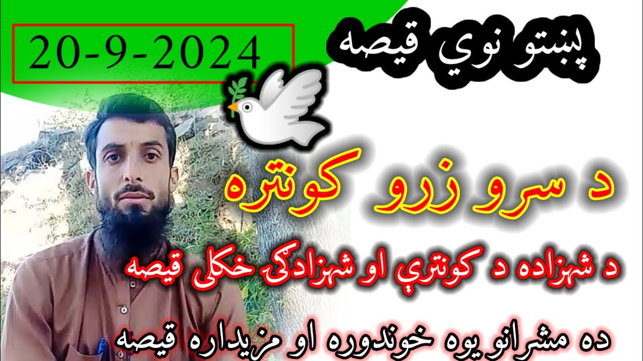 pashto qissay new 2024 - The Golden Bird 🐦 - da masharano qese