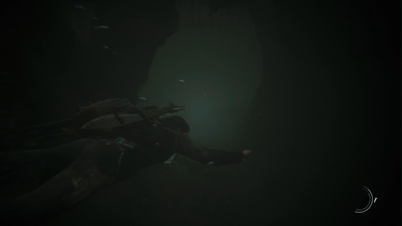 The Last of Us Part Il episode 16
