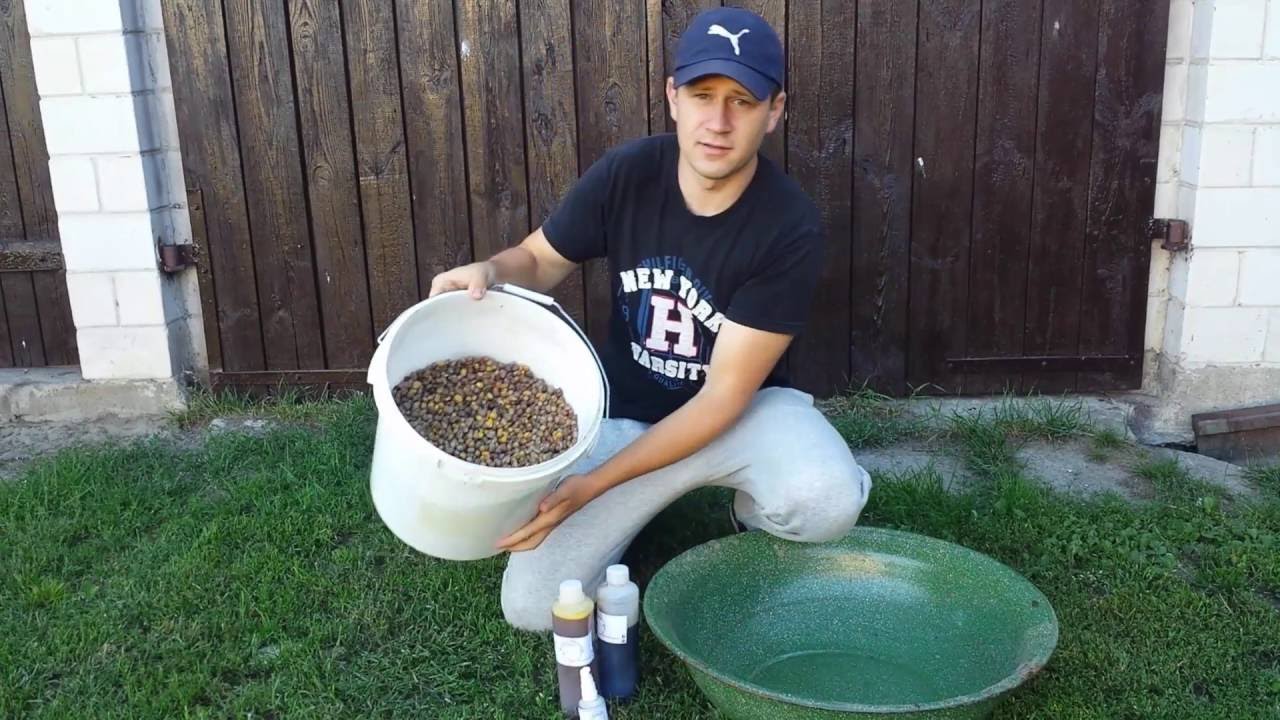 Wędkarska kuchnia czyli zaprawiamy ziarna dla leszczy | Wędkarstwo WnnP