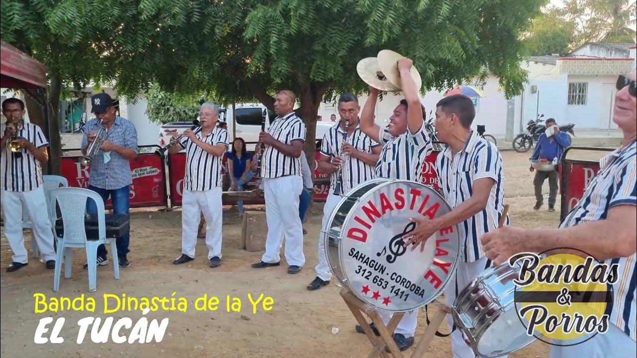 ✅🔥EL TUCÁN 🎵 - Banda Dinastía de la Ye