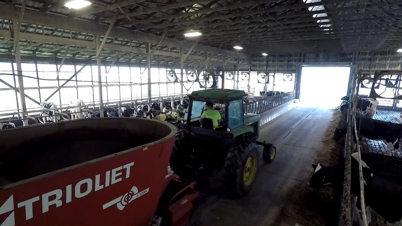 Feeding Cows, Milker Maintenance and more