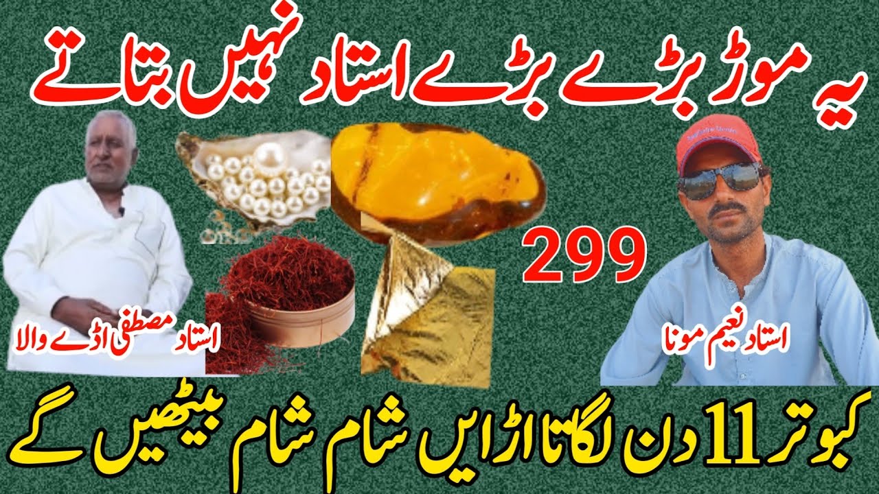 ye mord bary bary ustad nahi btaty