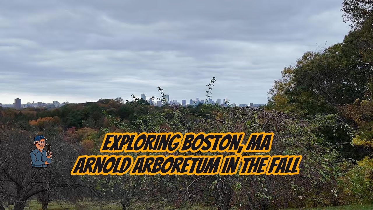 Late Fall at the Arnold Arboretum: 🍁 Foliage