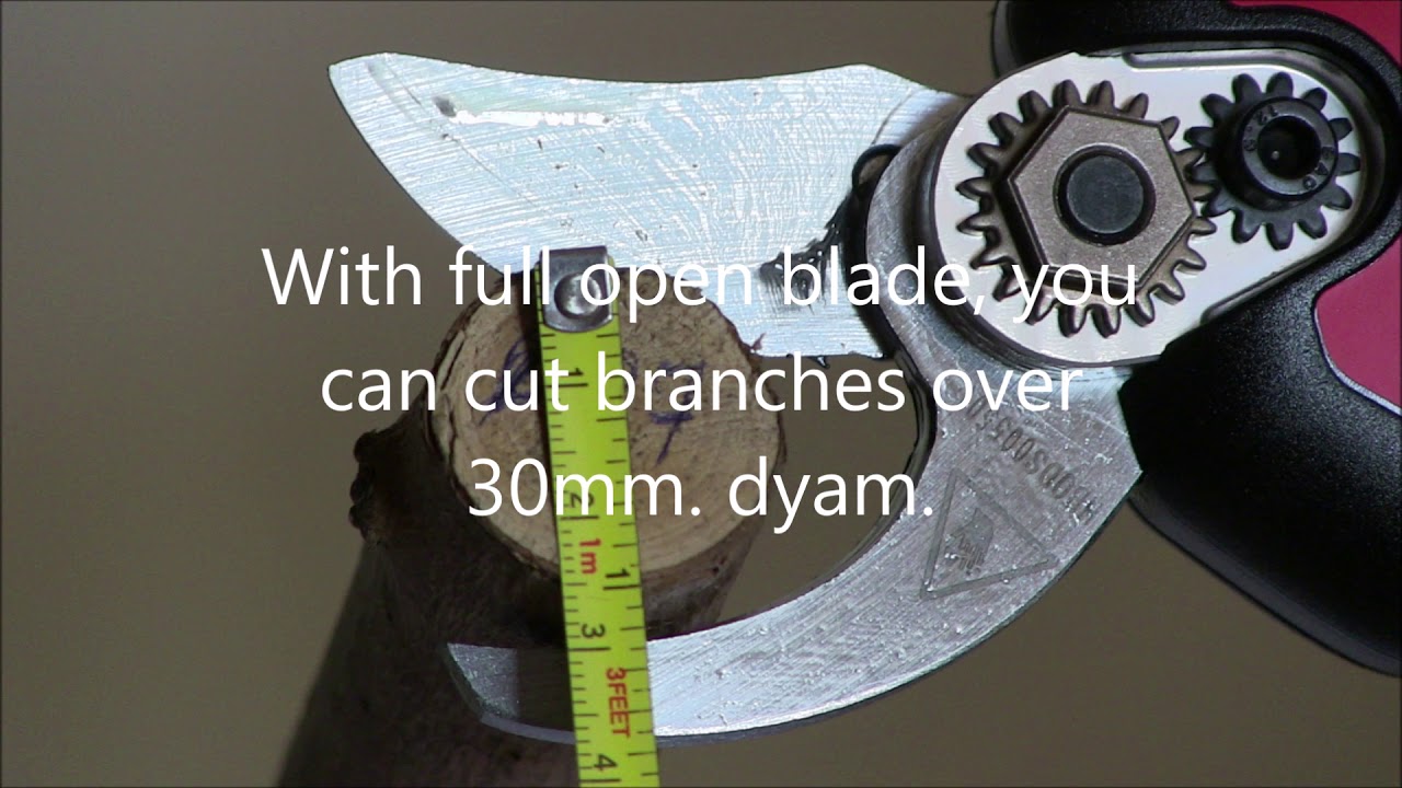 LISAM  electronic pruning shear TL25 Basic instructions 2019