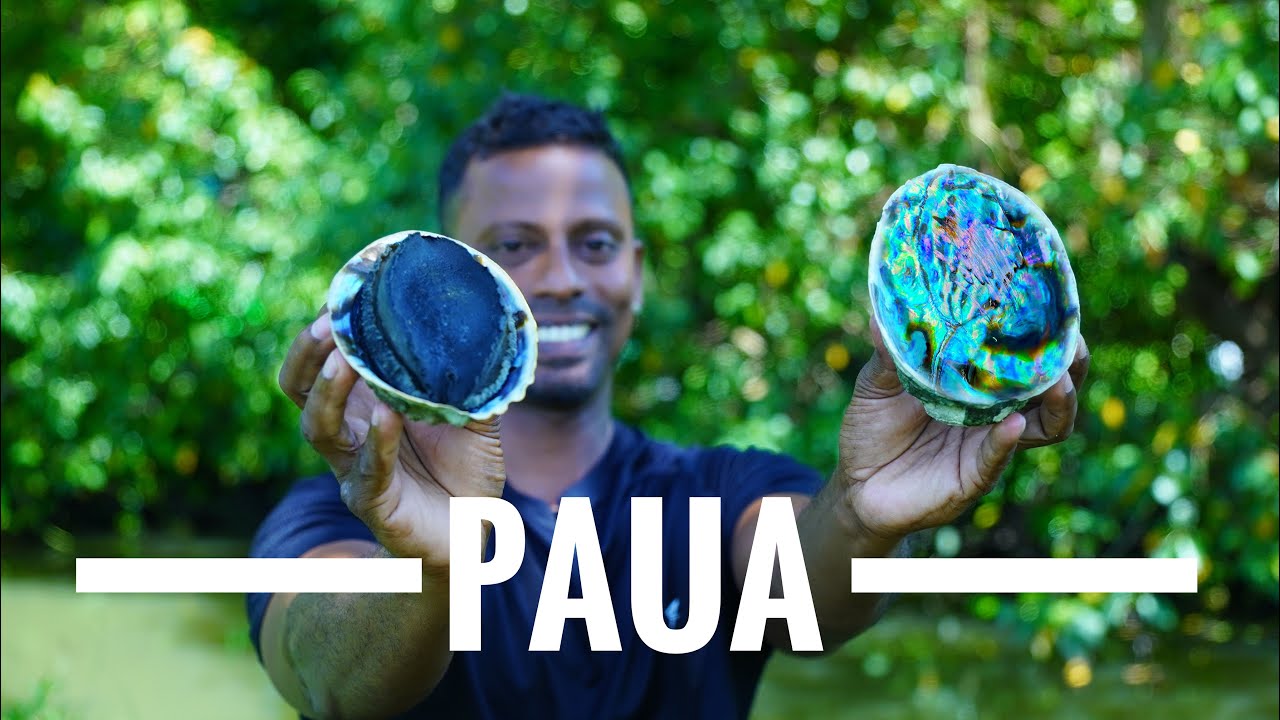 ഇതിനകത്തു മുത്തുണ്ടാകുമോ ..../Paua cooking