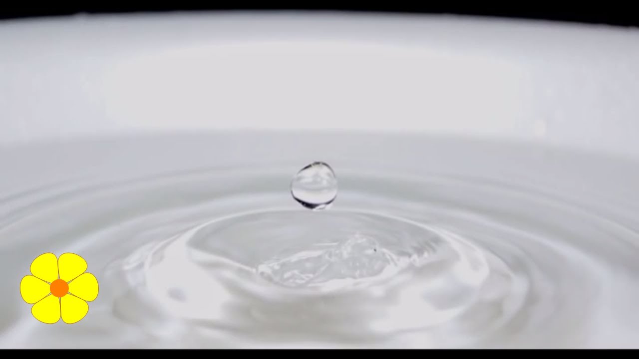 Single Drop of Water Falls in a Bucket - Water Drops - Water Dripping Slowly in a Tub - Relax Sounds