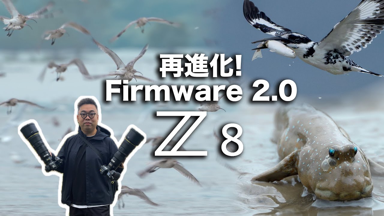 瘋狂Nikon Z8 再進化!!! 重大更新 firmware 2.0 | 鳥攝 | 生態 | 黑白｜攝影 #nikon #nikonz8 #z8 #firmware