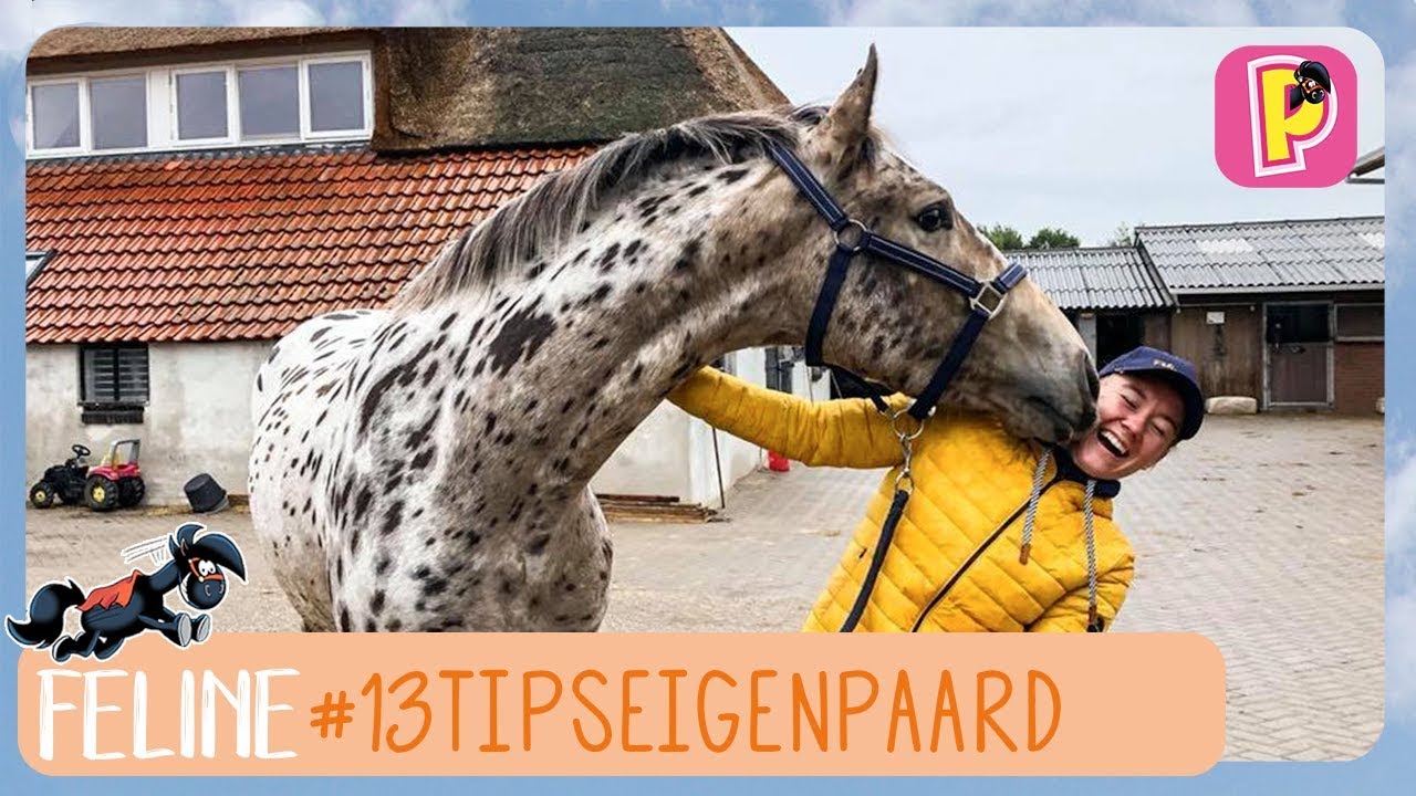 Eigen Paard? Feline helpt! | Feline | Penny TV