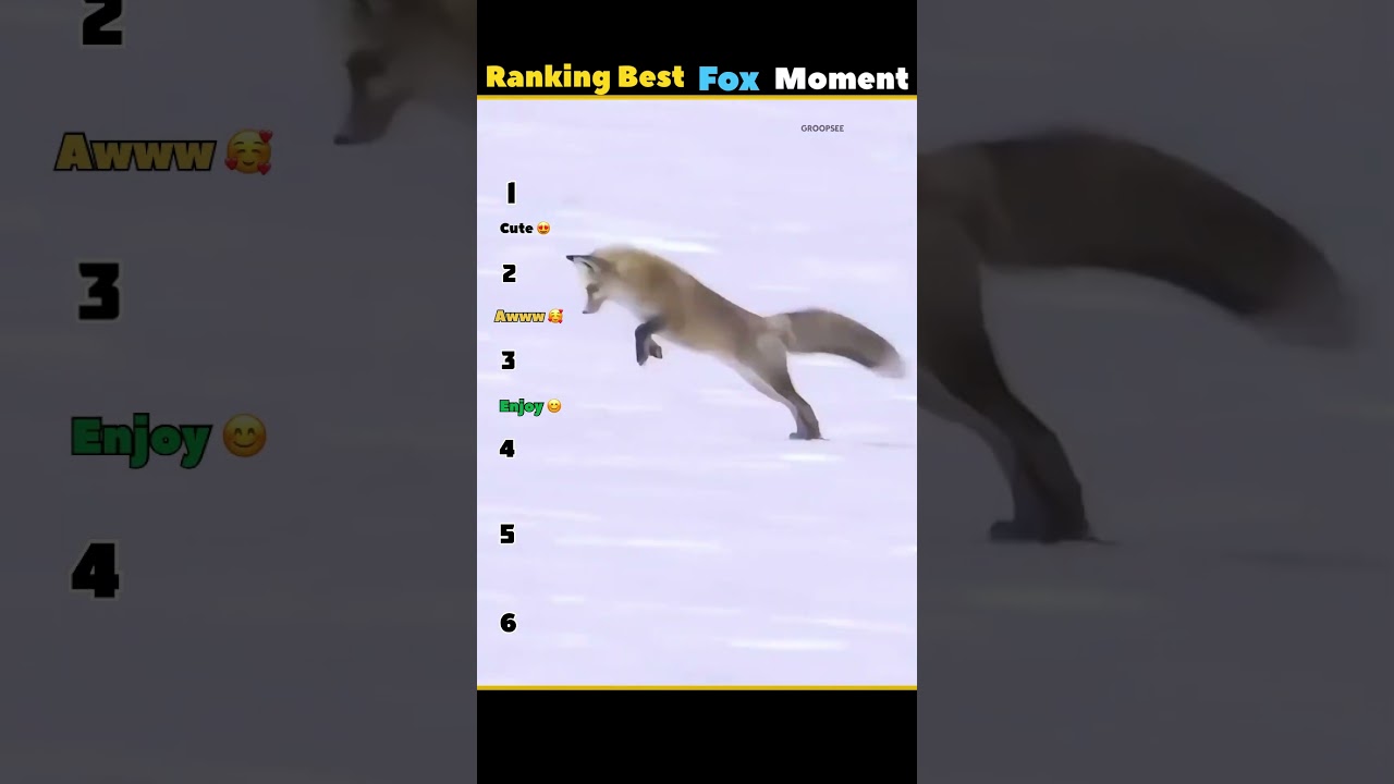 Ranking Best Fox Moments! #shorts