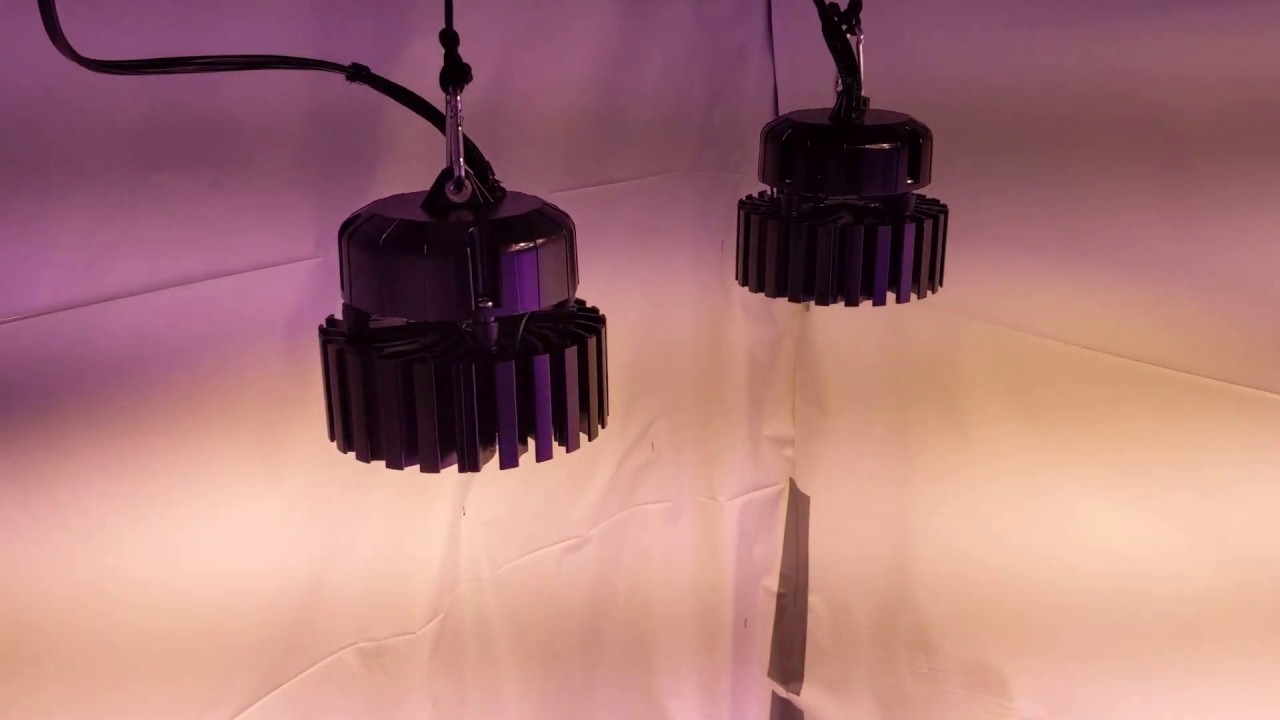 Grow room tour