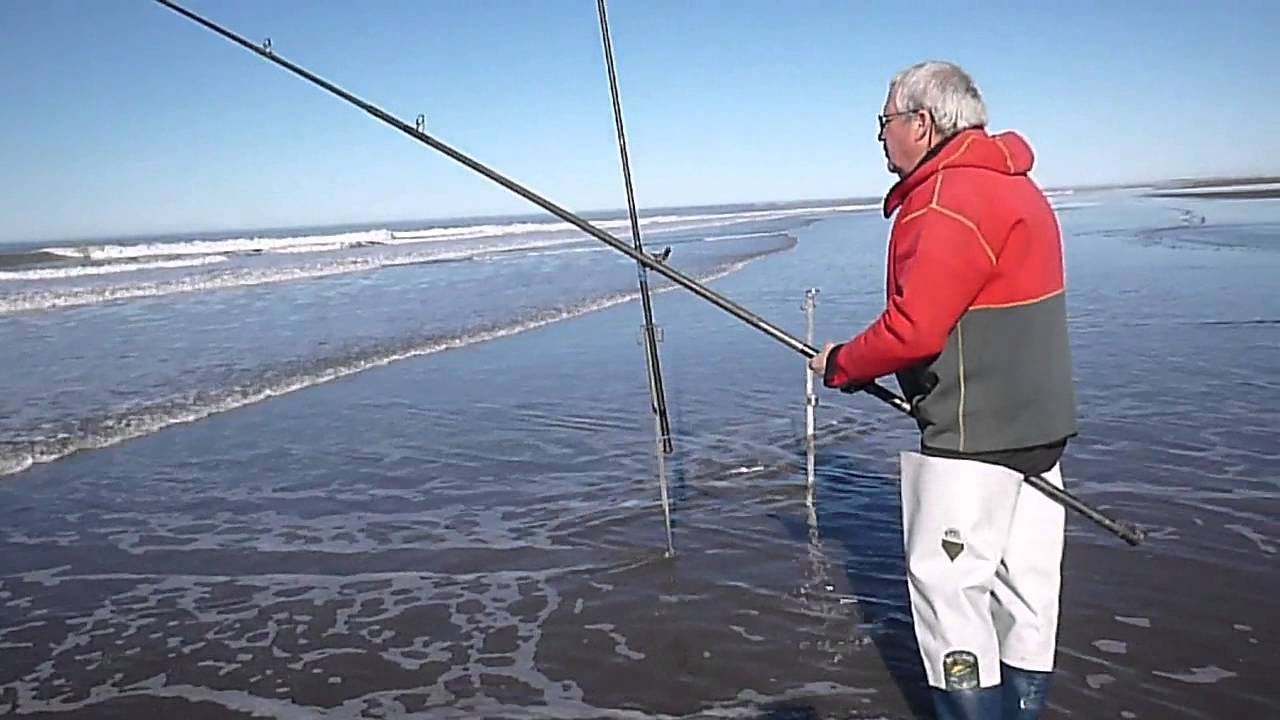 Pesca de Panzones y Escardones en Punta Rubia San Blas 22 de Julio de 2015