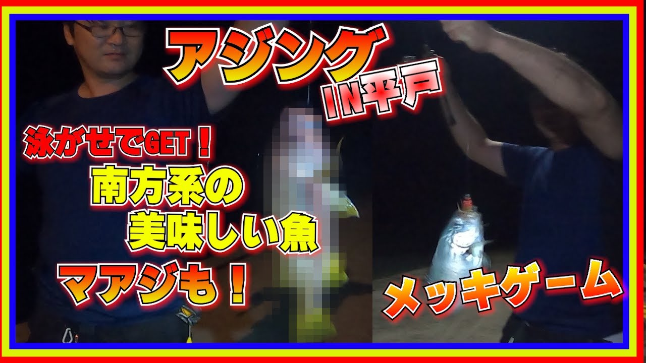 平戸でアジング★アジ・メッキゲーム＆泳がせでも！？