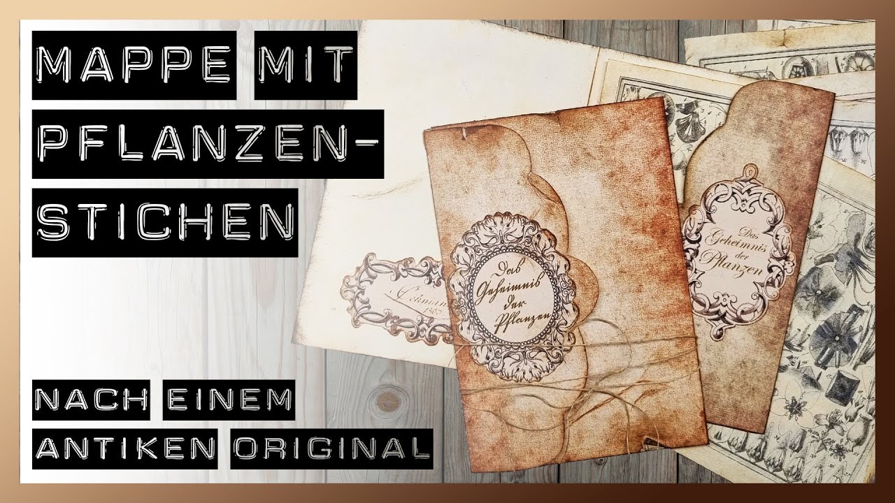 Vintage Mappe mit Pflanzenstichen nach einem antiken Original