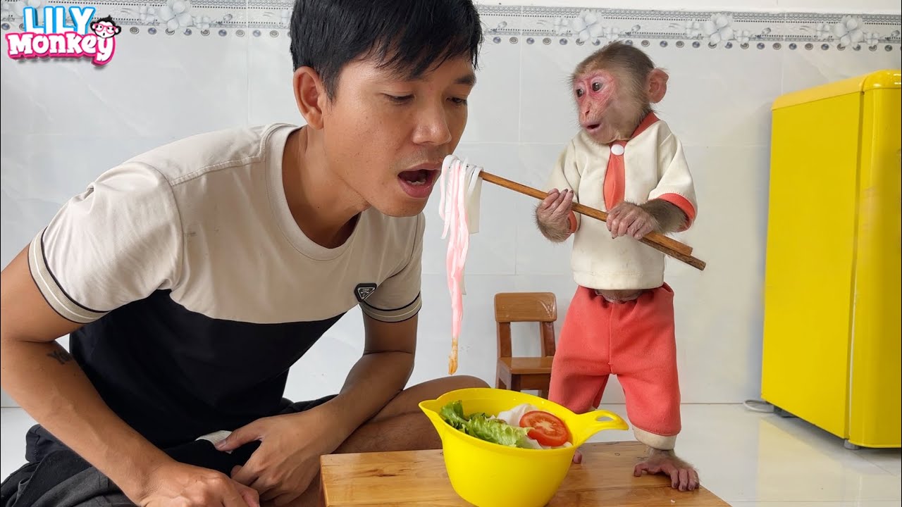 Sweet moment when monkey Lily helps dad cook noodles