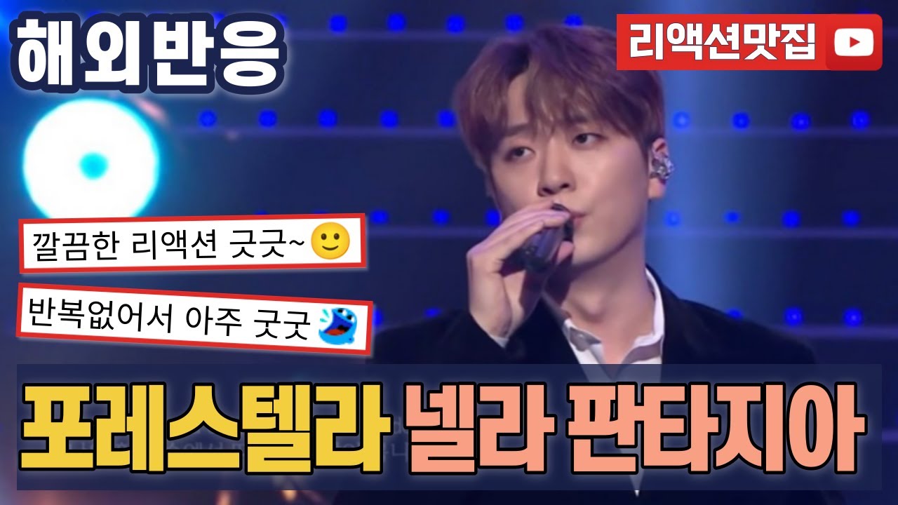 [반복없이깔끔한편집] 포레스텔라 넬라판타지아 Forestella Nella Fantasia 해외반응 리액션 모음