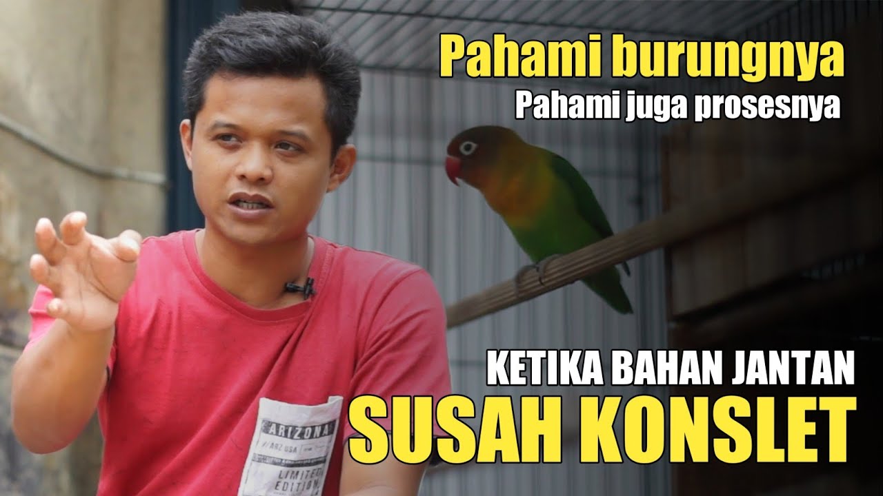 SOLUSI KETIKA SUSAH KONSLET - Pemahaman proses konslet novi banjarnegara
