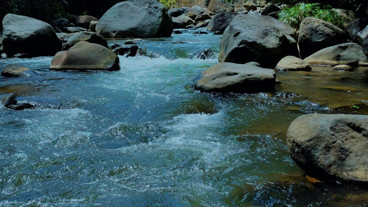 Flowing River Sound for Sleep, Relax, and Stress Relief | ASMR