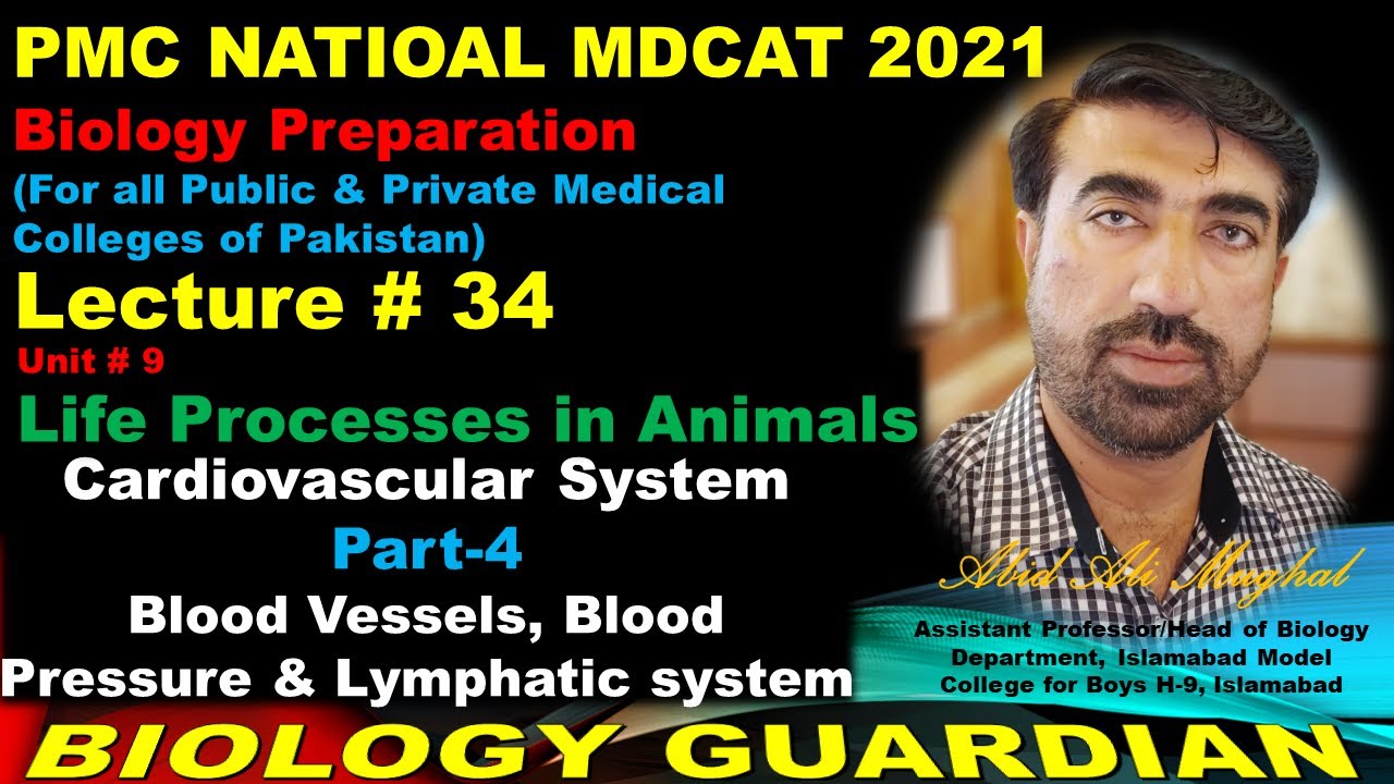Lecture 34 Biology PMC National MDCAT 2021 | Blood Vessels, Blood Pressure & Lymphatic System