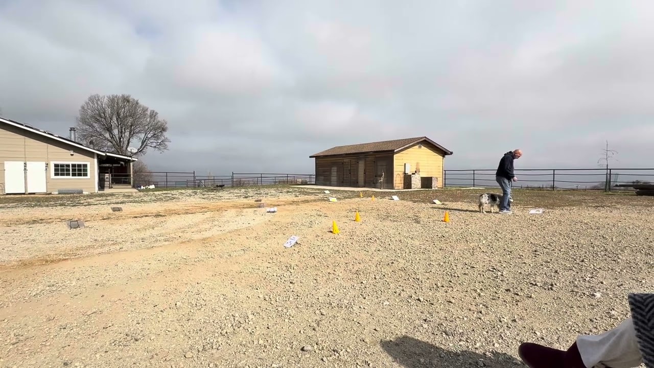 Gracie, Novice Virtual Rally Map 1
