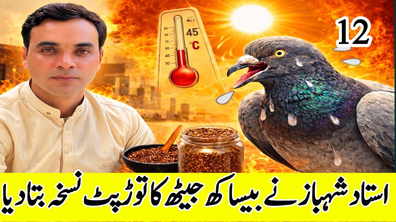 USTAD SHAHBAZ NE BESAKH JAITH KA TOR PUT NUSKHA BTA DEA 