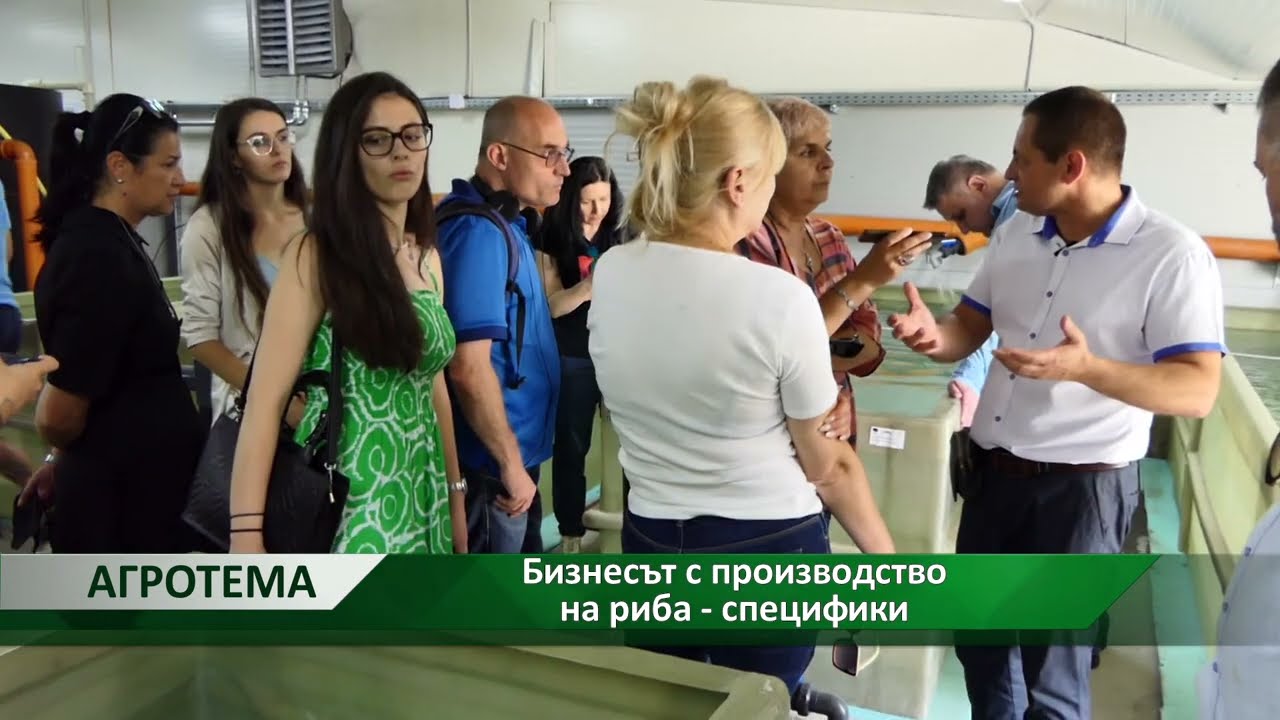 Агротема: Бизнесът с производство на риба - специфики