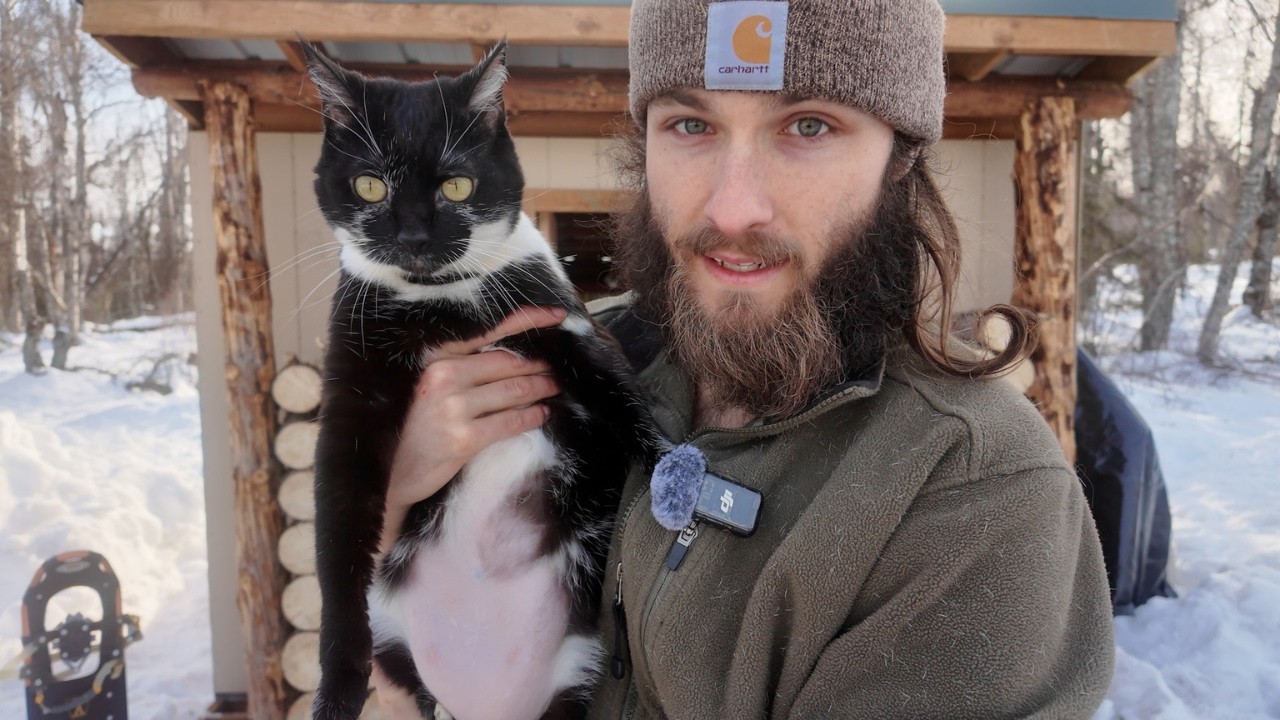 February OFF GRID in Alaska〈EP19〉Tiny Cabin Windows, Emergency Vet, Gettin' a Snowmachine & more!