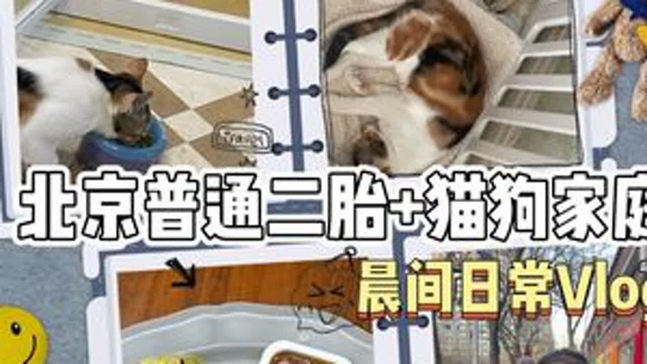 Vlog247｜北京二胎+猫狗家庭晨间日常173 新年第一篇，又开学啦，对我来说节假日比工作日累多了，按你胃，一开始还担心猫狗天天的不知是真打还是假打，今天一进门发现猫狗一窝睡了，猫自己跳进去的...