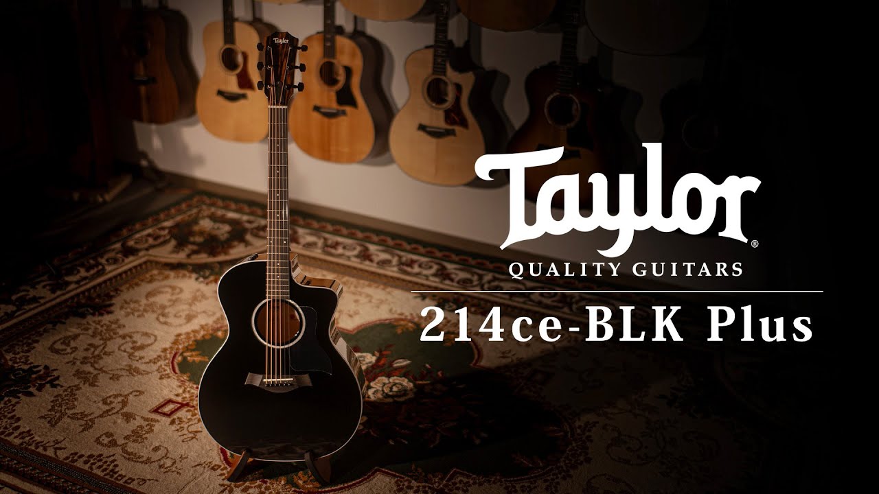 Taylor 214ce BLK Plus / MION introduction